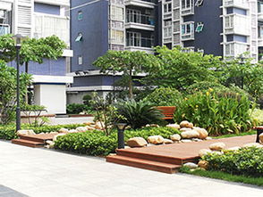 東莞園林公司 苑美園藝是 服務(wù)商