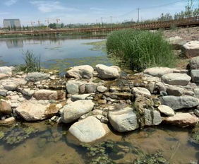 蘭州園林景觀工程預(yù)計(jì)年底全面完工，城市顏值再提升