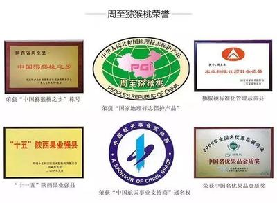 周至獼猴桃盼銷路 萬千兒女的呼喚，您的援手見真情